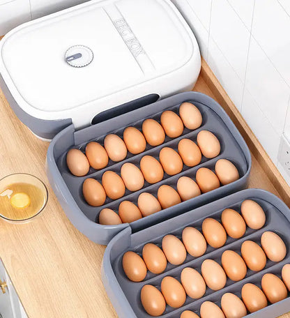 Egg Storage Box