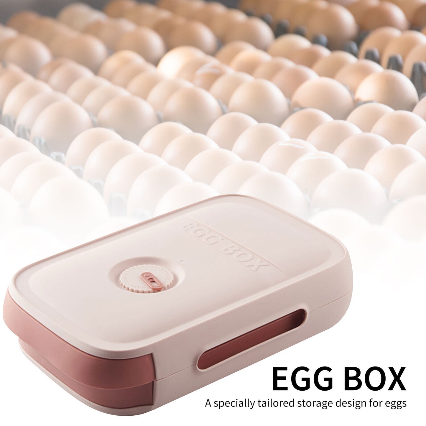 Egg Storage Box